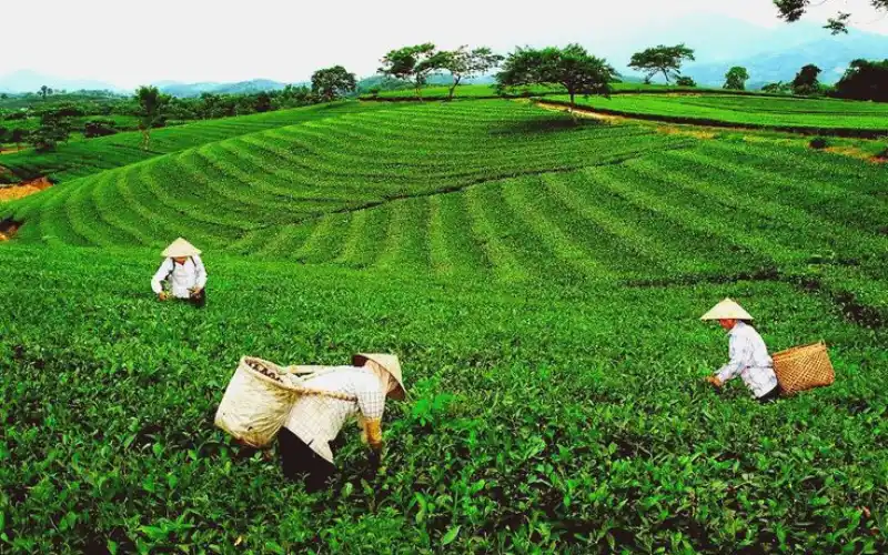 Công nghệ hiện đại