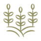 Nguồn gốc rõ ràng